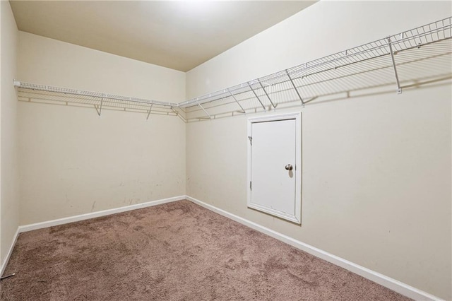 walk in closet featuring carpet