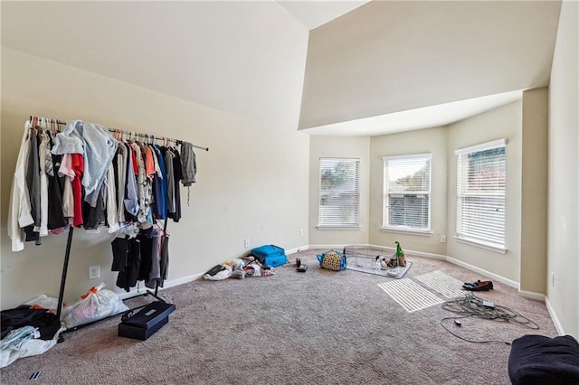 workout room featuring carpet flooring