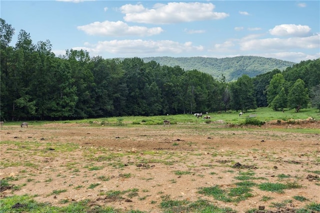 property view of mountains with a view of trees and a rural view