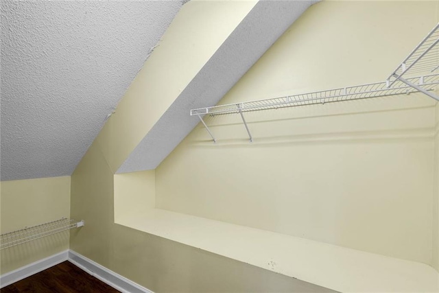 130 Wayne Wheeler Way, Woodstock, GA 30188 - spacious closet featuring dark wood finished floors and lofted ceiling