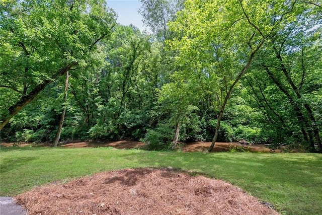 130 Wayne Wheeler Way, Woodstock, GA 30188 - view of grassy yard with a view of trees