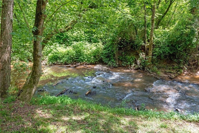 130 Wayne Wheeler Way, Woodstock, GA 30188 - view of woods