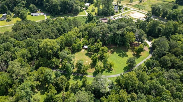 130 Wayne Wheeler Way, Woodstock, GA 30188 - aerial overview of property's location