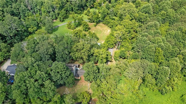 130 Wayne Wheeler Way, Woodstock, GA 30188 - aerial overview of property's location featuring a heavily wooded area