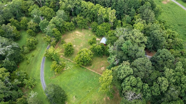 130 Wayne Wheeler Way, Woodstock, GA 30188 - aerial view of property and surrounding area