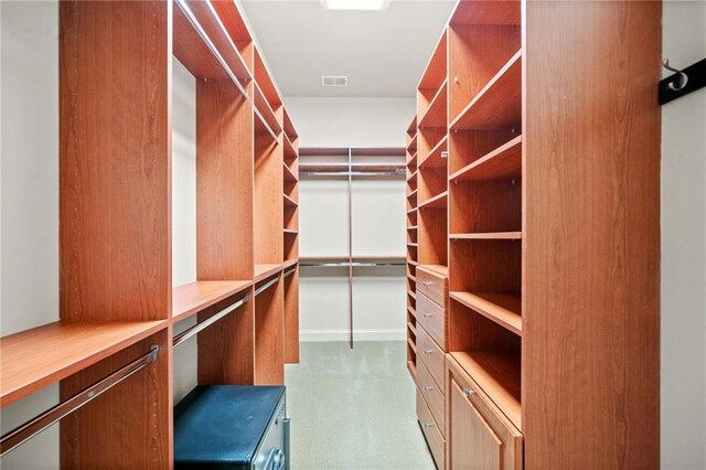 spacious closet featuring carpet floors and visible vents