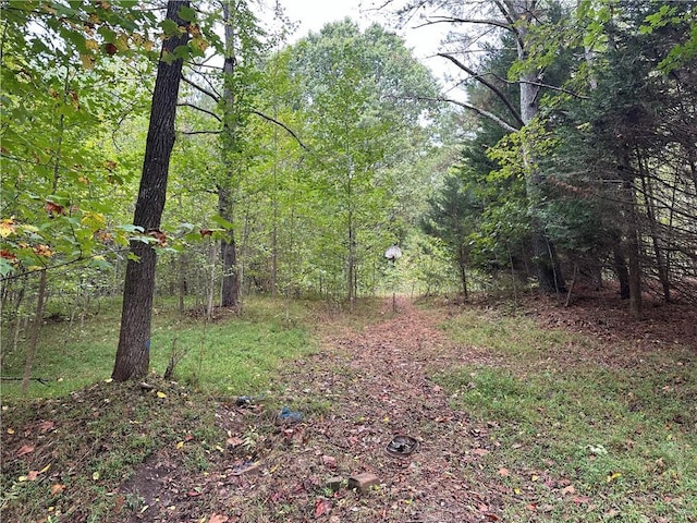 390 Pat Rich Dr, Canton, GA 30115