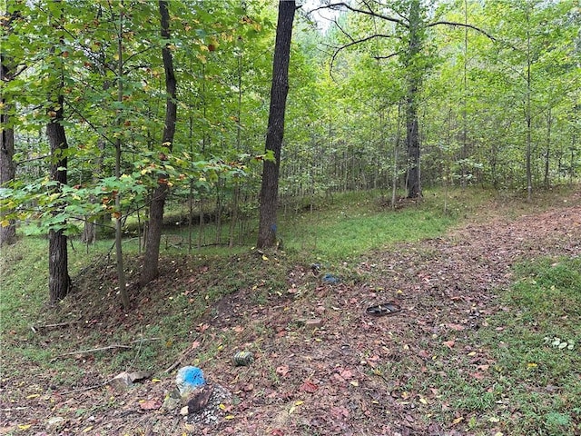 390 Pat Rich Dr, Canton, GA 30115