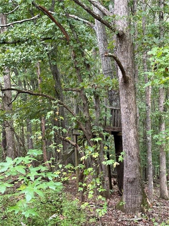 390 Pat Rich Dr, Canton, GA 30115
