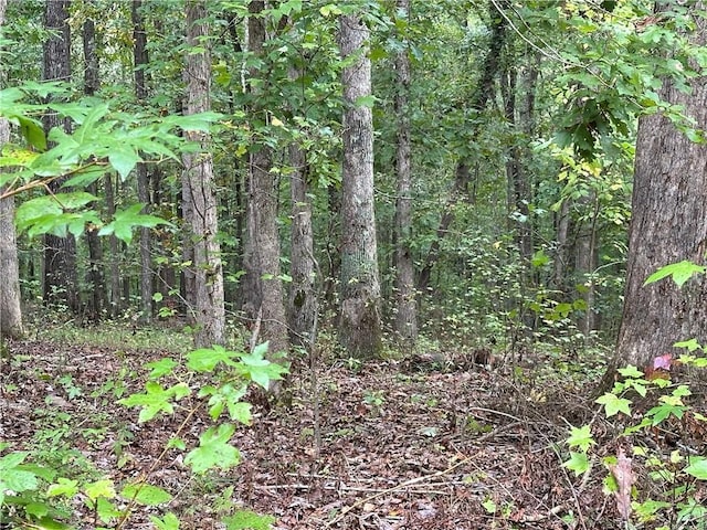 390 Pat Rich Dr, Canton, GA 30115