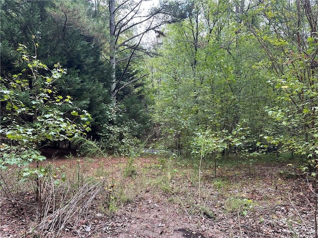390 Pat Rich Dr, Canton, GA 30115
