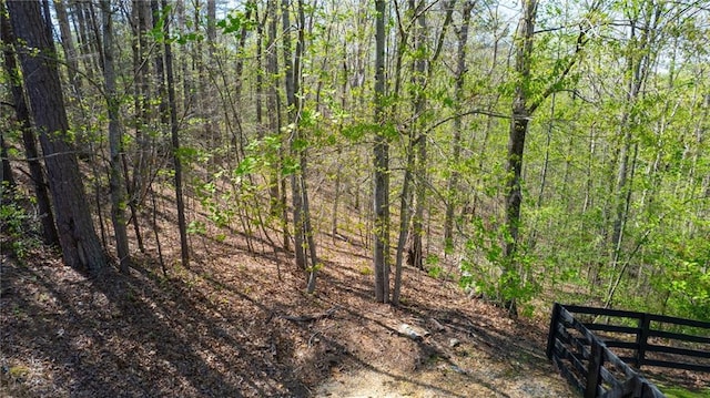 8850 Matt Hwy, Ball Ground, GA 30107 - view of woods