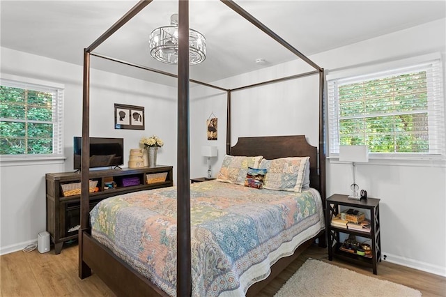 bedroom featuring baseboards, multiple windows, and wood finished floors