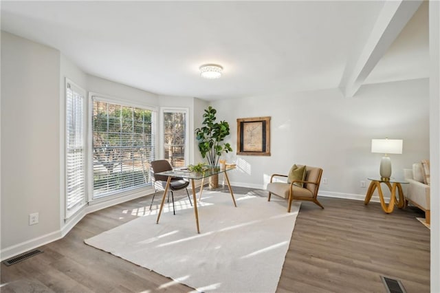 living area featuring wood-type flooring