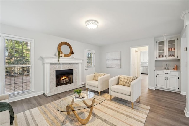 living room with hardwood / wood-style floors, a high end fireplace, and a healthy amount of sunlight