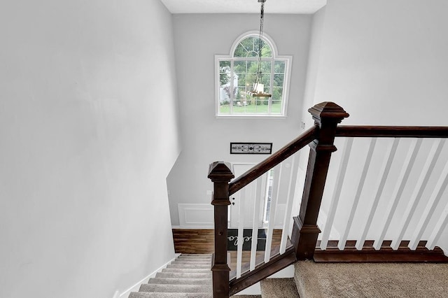 stairway with carpet