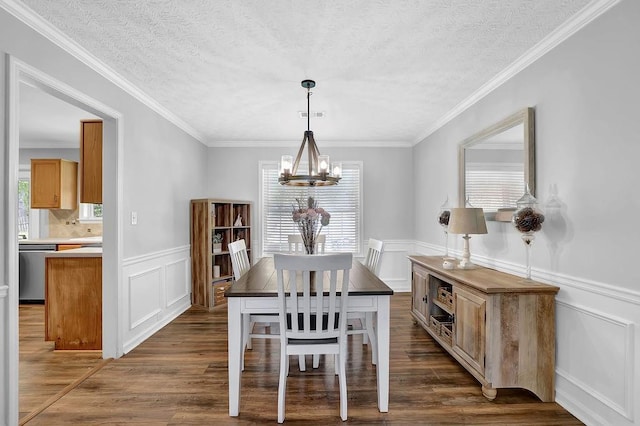 dining room with a chandelier, a decorative wall, dark wood finished floors, wainscoting, and a textured ceiling