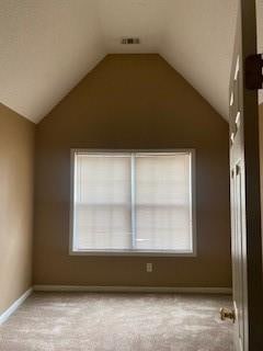 interior space featuring plenty of natural light and vaulted ceiling