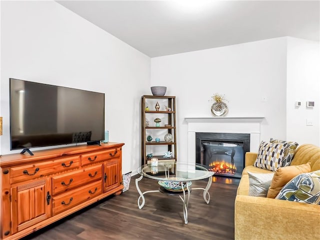 living room featuring dark hardwood / wood-style flooring