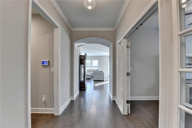 hallway featuring dark hardwood / wood-style flooring and ornamental molding