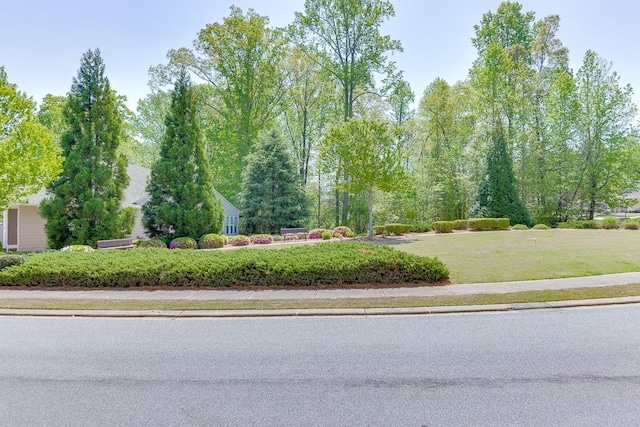 view of street featuring curbs and sidewalks