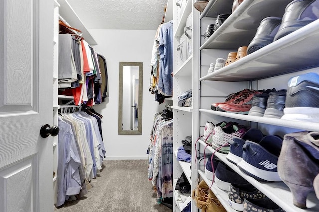 walk in closet with carpet flooring