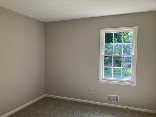 spare room featuring carpet flooring