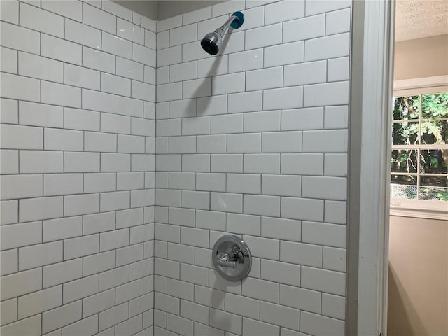 bathroom featuring a healthy amount of sunlight and tiled shower