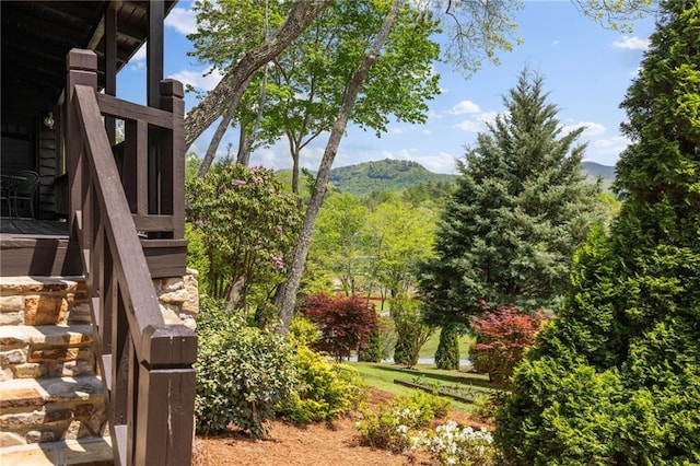 259 Eagle Chase Cir, Dillard, GA 30537 - view of yard featuring a mountain view