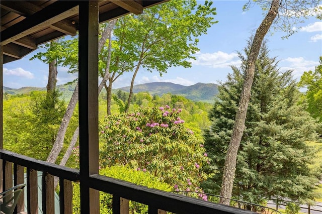 259 Eagle Chase Cir, Dillard, GA 30537 - view of mountain background