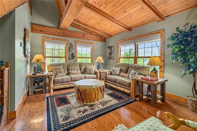259 Eagle Chase Cir, Dillard, GA 30537 - living room with wood finished floors and wood ceiling
