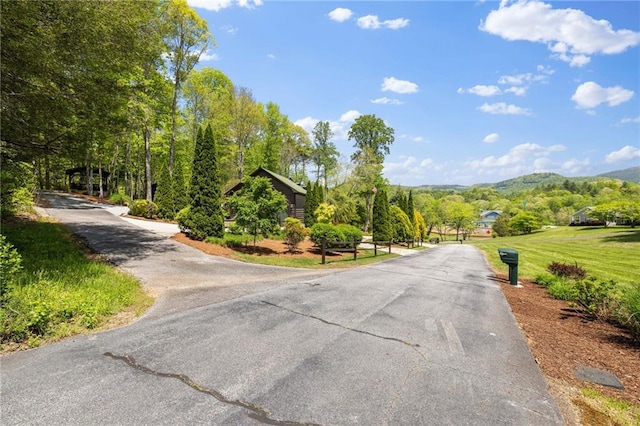 259 Eagle Chase Cir, Dillard, GA 30537 - view of asphalt road with a mountain view