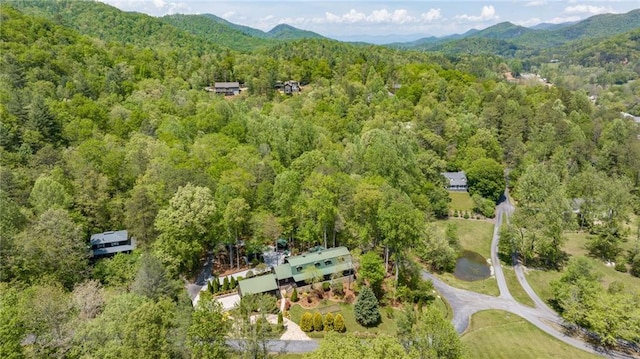 259 Eagle Chase Cir, Dillard, GA 30537 - view of property location with a mountain backdrop
