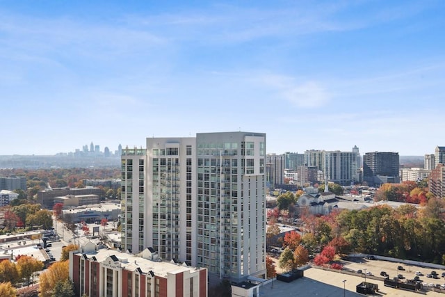 3325 Piedmont Rd NE Unit 2104, Atlanta, GA 30305 - city view