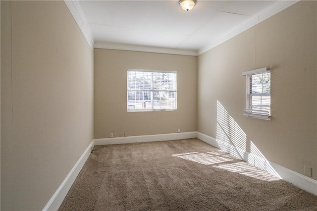 unfurnished room featuring carpet, a wealth of natural light, and ornamental molding