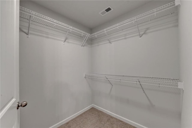 spacious closet with carpet floors