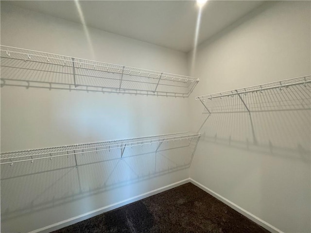 spacious closet featuring carpet flooring