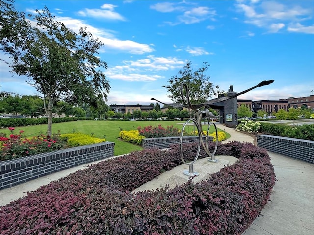 view of home's community featuring a yard