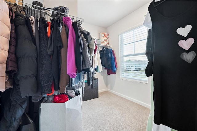 6004 Screech Owl Dr, Flowery Branch, GA 30542 - spacious closet with carpet
