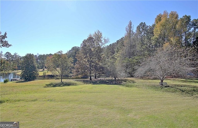19 Quimby Jackson Rd, Newnan, GA 30263 - view of green lawn