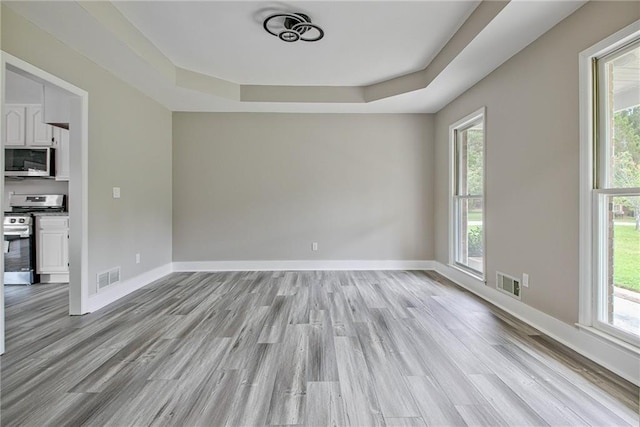 19 Quimby Jackson Rd, Newnan, GA 30263 - spare room featuring a tray ceiling and light wood-style flooring