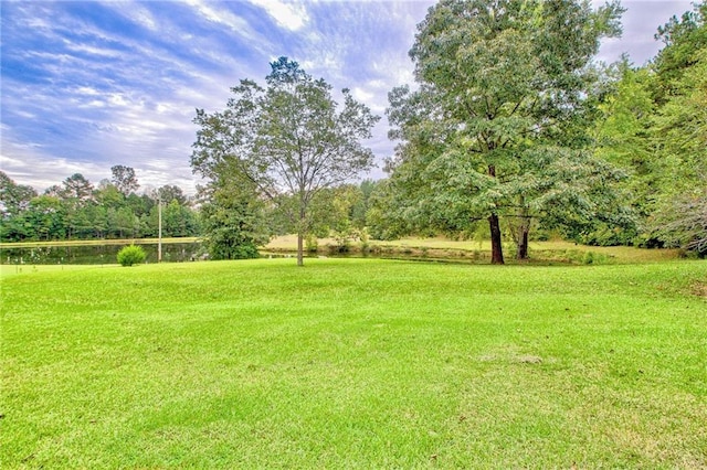 19 Quimby Jackson Rd, Newnan, GA 30263 - view of green lawn with a water view