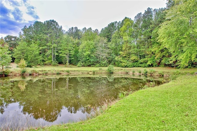 19 Quimby Jackson Rd, Newnan, GA 30263 - water view with a heavily wooded area