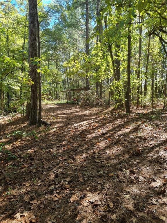 19 Quimby Jackson Rd, Newnan, GA 30263 - view of tree filled area