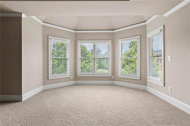 2602 Alcovy Club Dr, Dacula, GA 30019 - carpeted spare room featuring vaulted ceiling, healthy amount of natural light, and crown molding