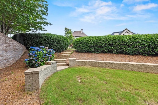 2602 Alcovy Club Dr, Dacula, GA 30019 - view of green lawn with stairs