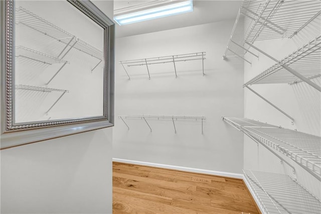 spacious closet featuring wood-type flooring