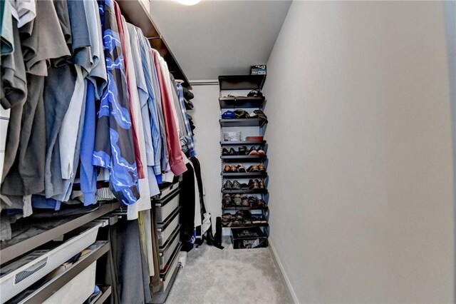 spacious closet with light colored carpet