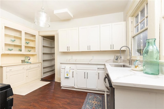 kitchen featuring a sink, dark wood-type flooring, stainless steel dishwasher, and white cabinetry