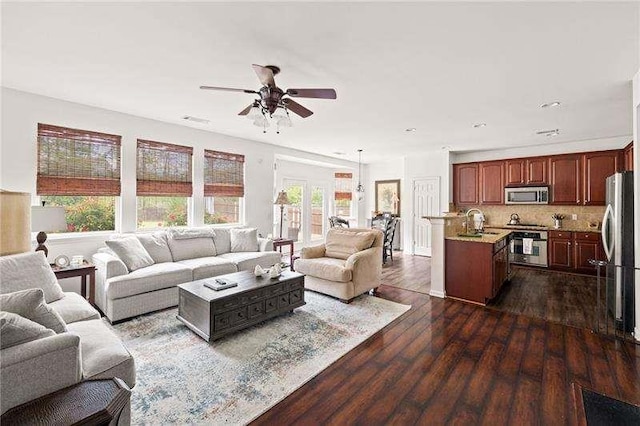 316 Branch Valley Dr NE, Dallas, GA 30132 - living area featuring plenty of natural light, a ceiling fan, and dark wood finished floors